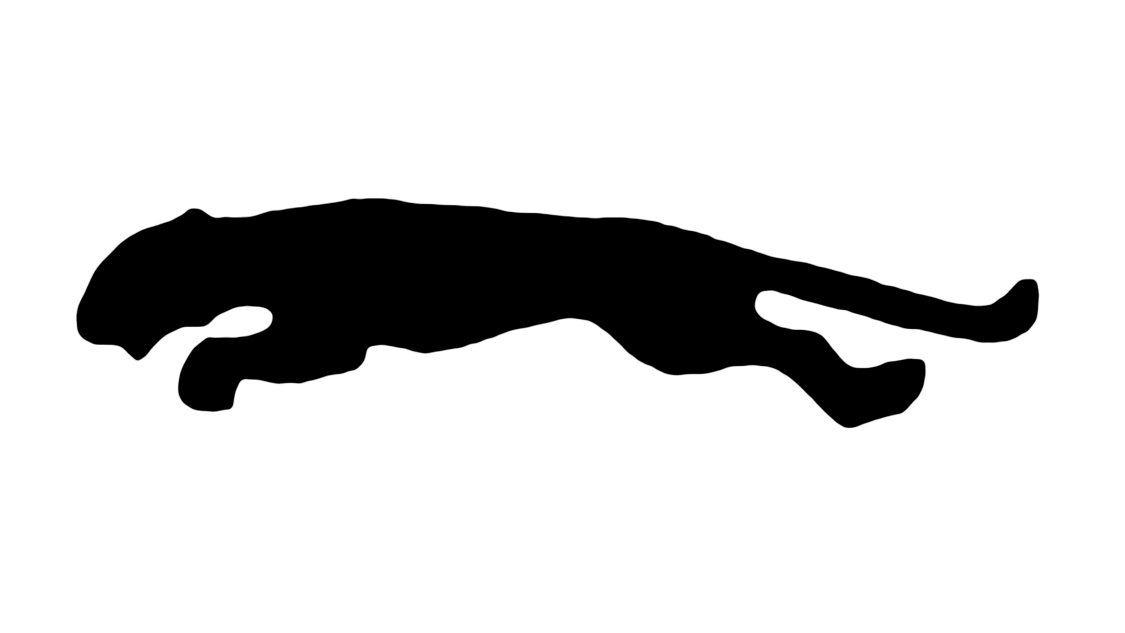 Puma Logo Symbol, History, PNG (3840*2160)