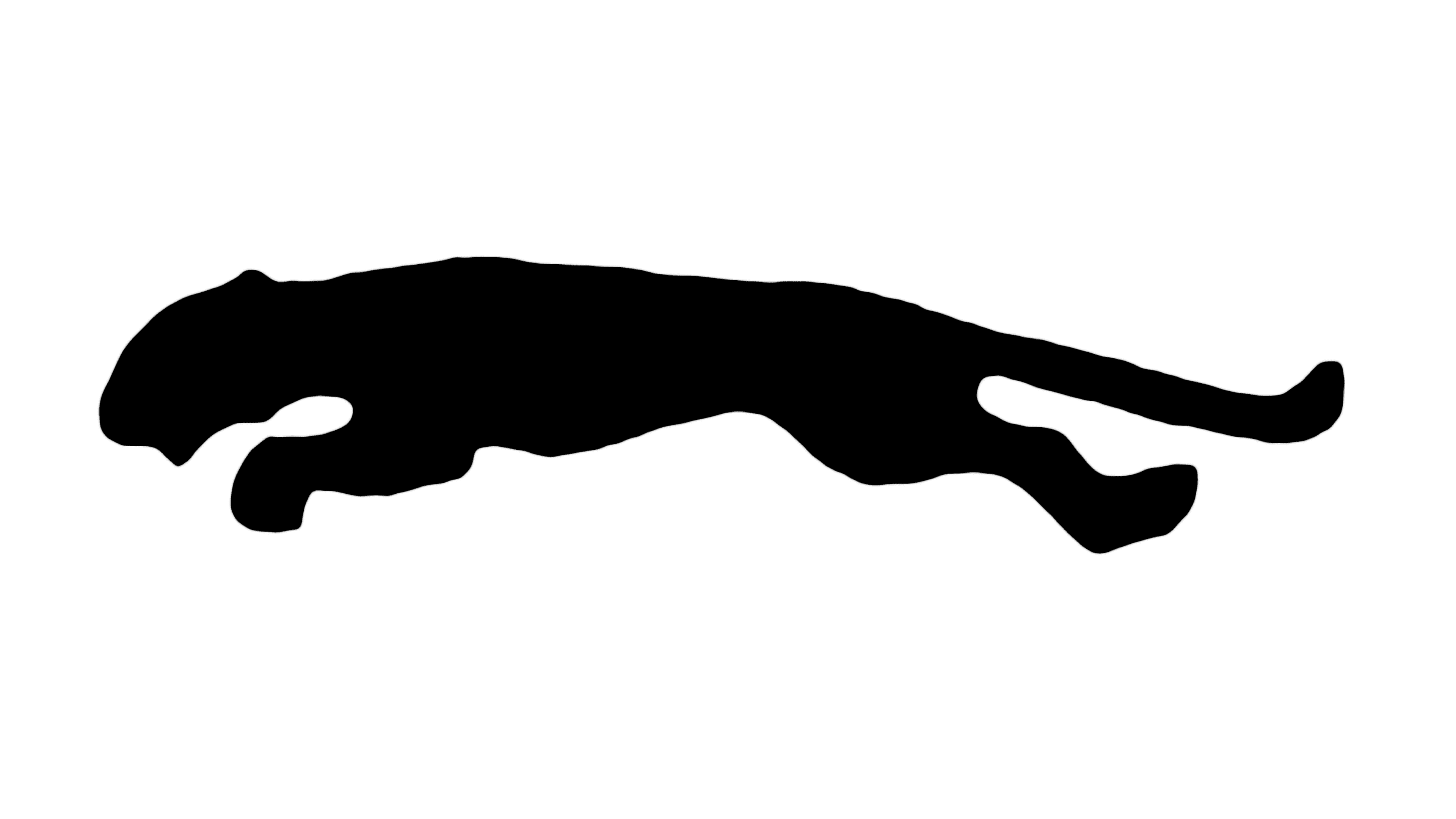 Puma Logo