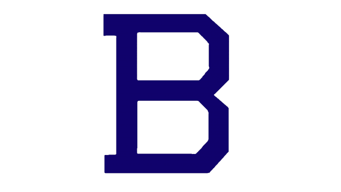 Baltimore Orioles Logo 1902