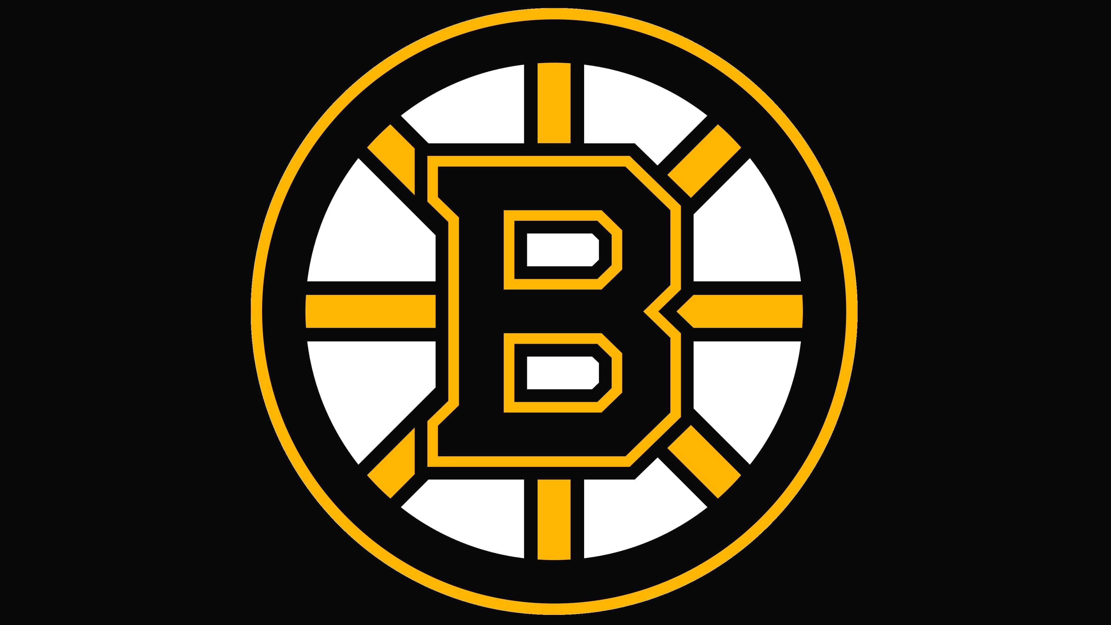 Boston Bruins Logo, symbol, meaning, history, PNG, brand