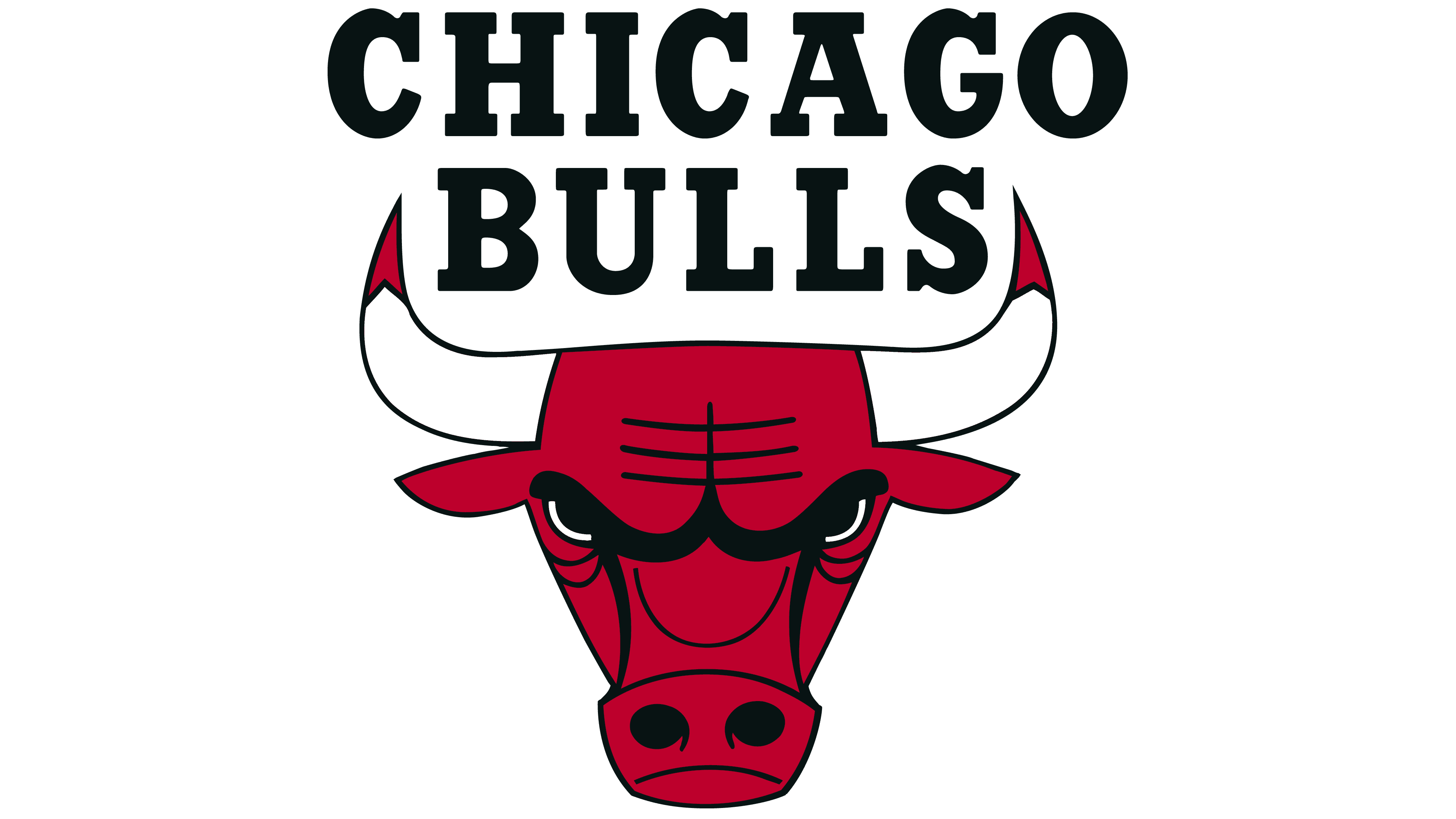 chicago bulls logo windy city