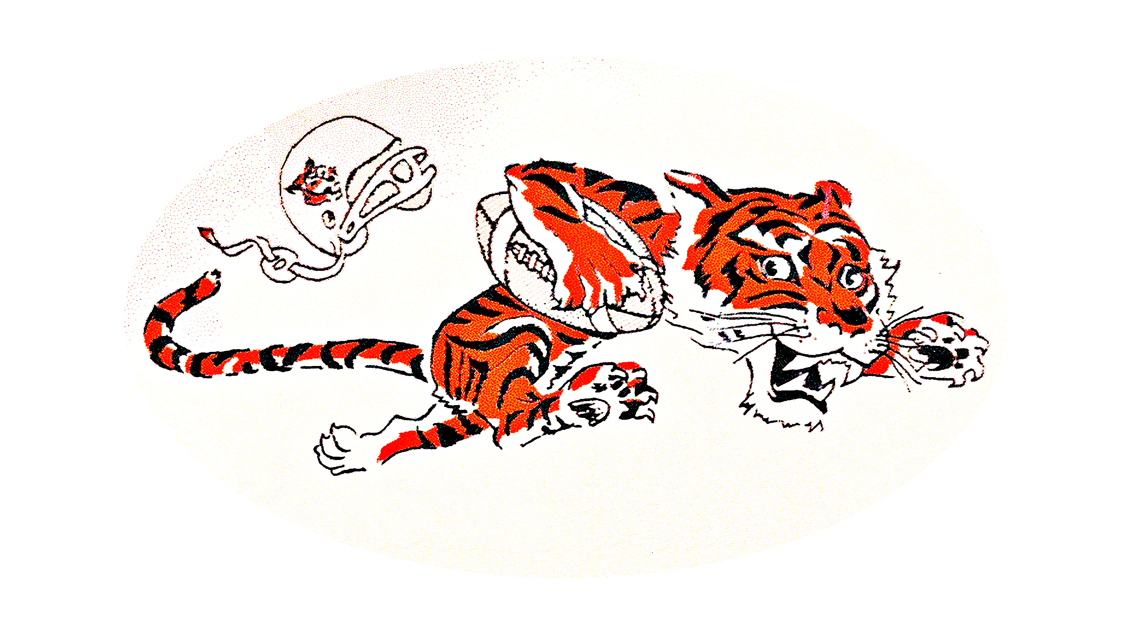 cincinnati bengals tiger