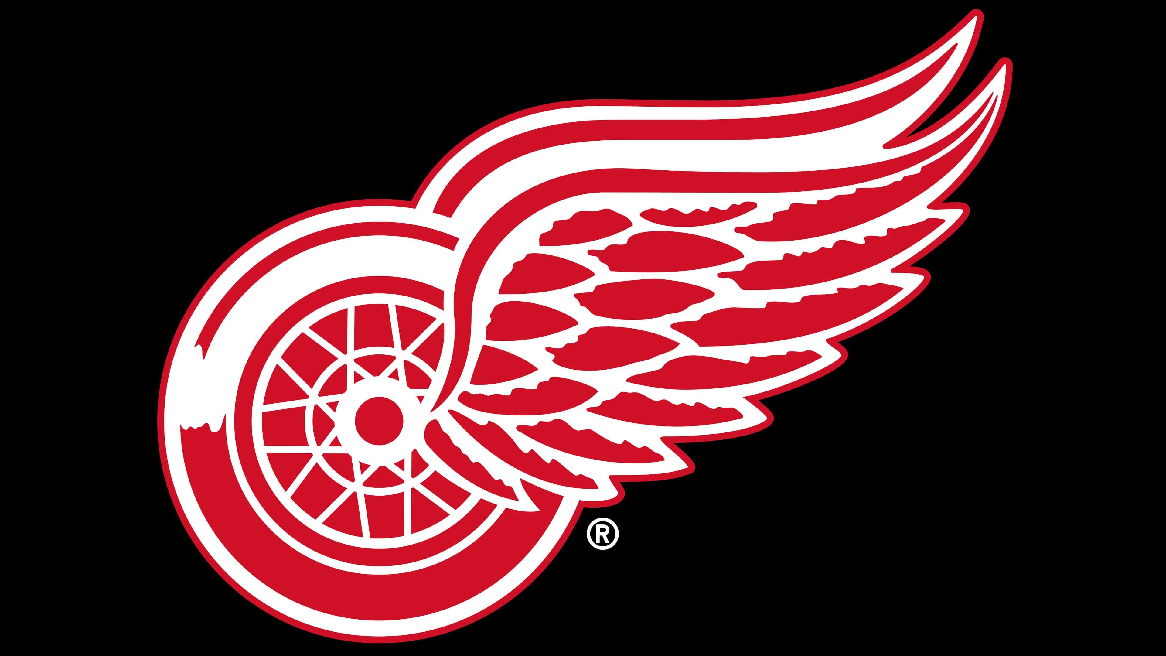 Detroit Red Wings Sign - 22 Round Distressed Logo