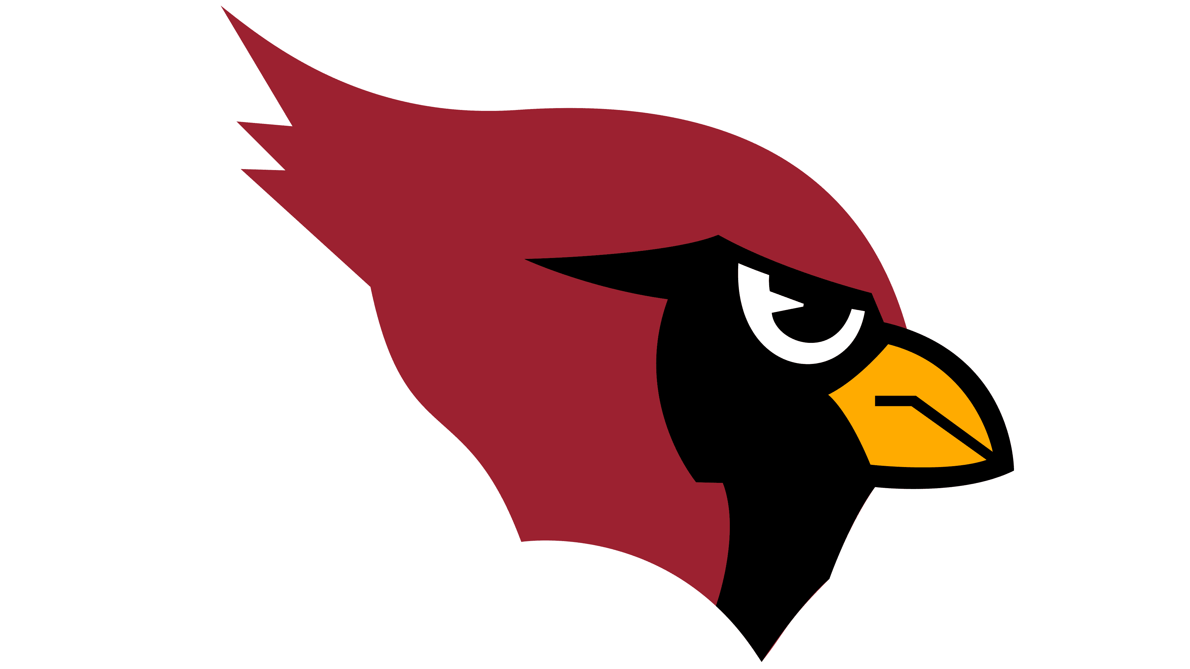 Arizona Cardinals Logo History | The most famous brands and company logos in the world
