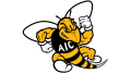 AIC Yellow Jackets Logo