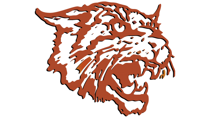 Bethune Cookman Wildcats Logo 2000-2015