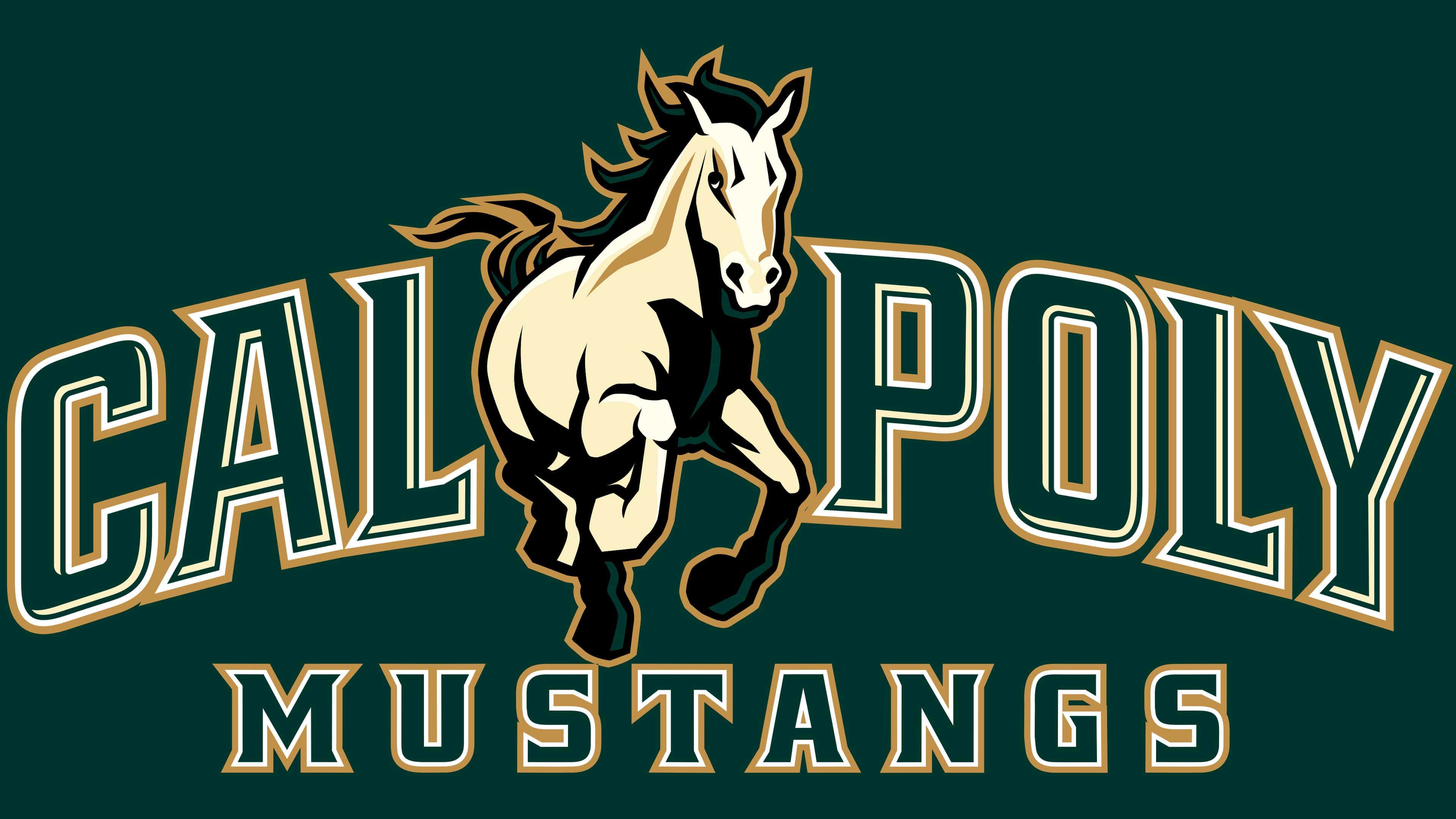 10 Formats Cal Poly Mustangs Embroidery Design 3 Sizes Instant Download