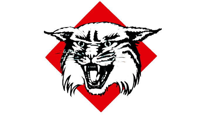 Davidson Wildcats Logo, PNG, Symbol, History, Meaning