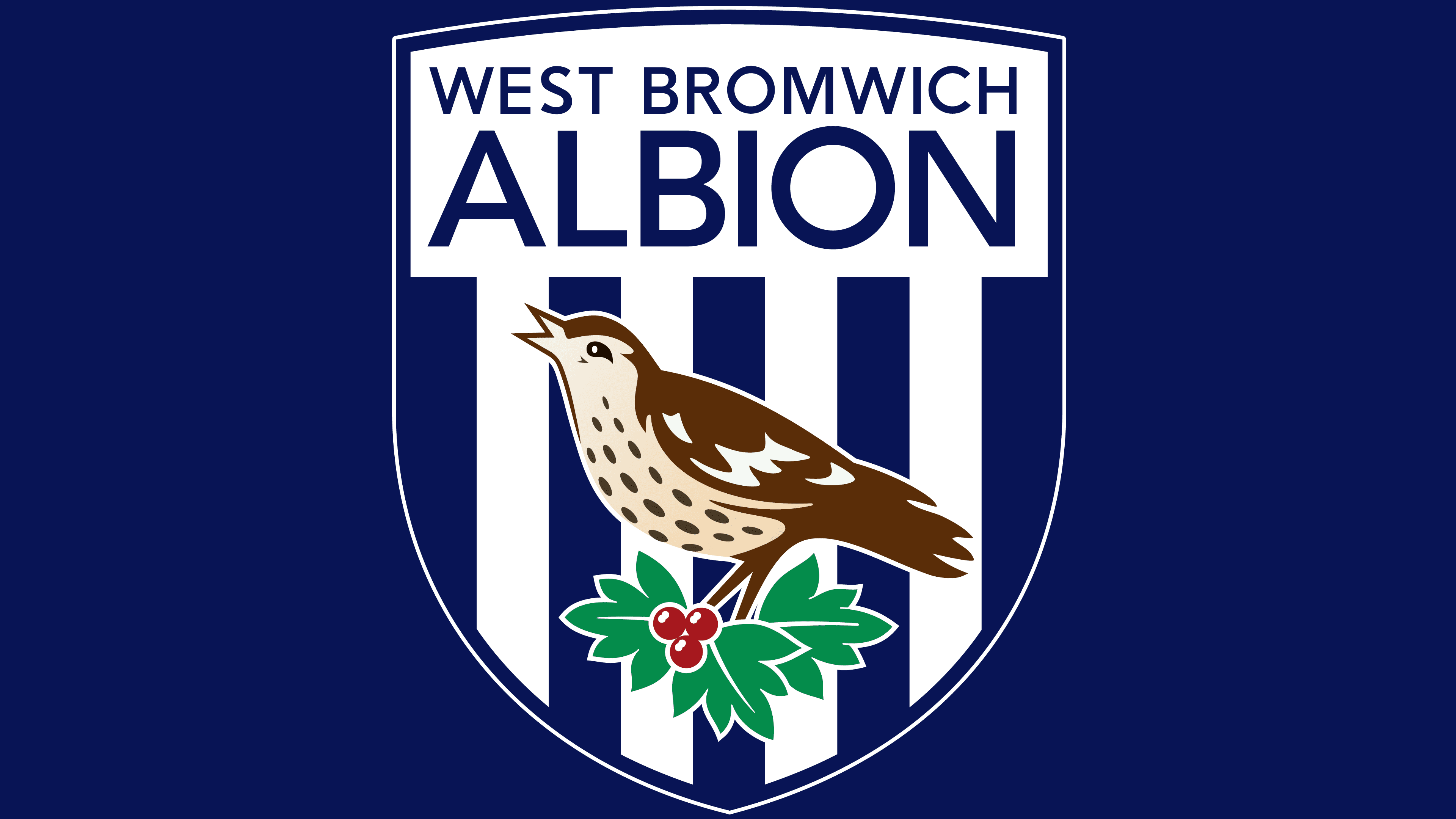 Football Club West Bromwich Albion Emblem the throstle an