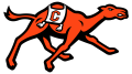 Campbell Fighting Camels Logo