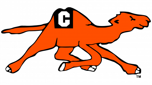 Campbell Fighting Camels Logo 1979
