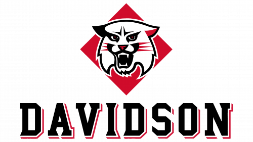 Davidson Wildcats Logo 2010