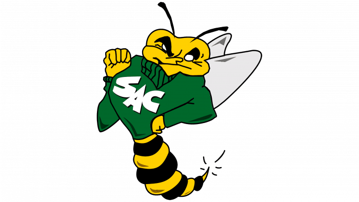 Sacramento State Hornets Logo 1991-2003