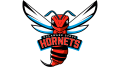 Delaware State Hornets Logo