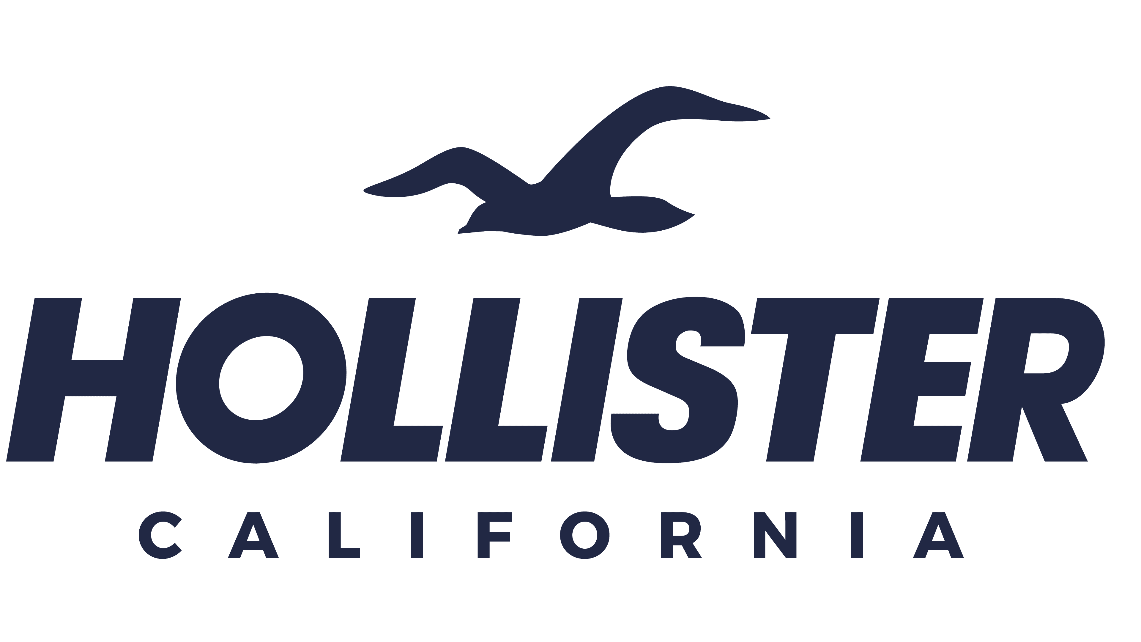 hollister logo meaning