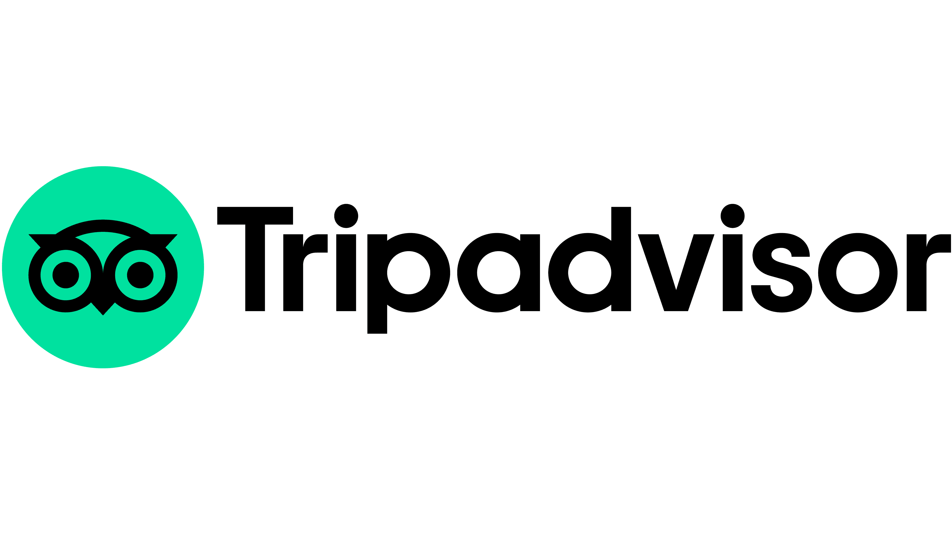 travel industry tripadvisor