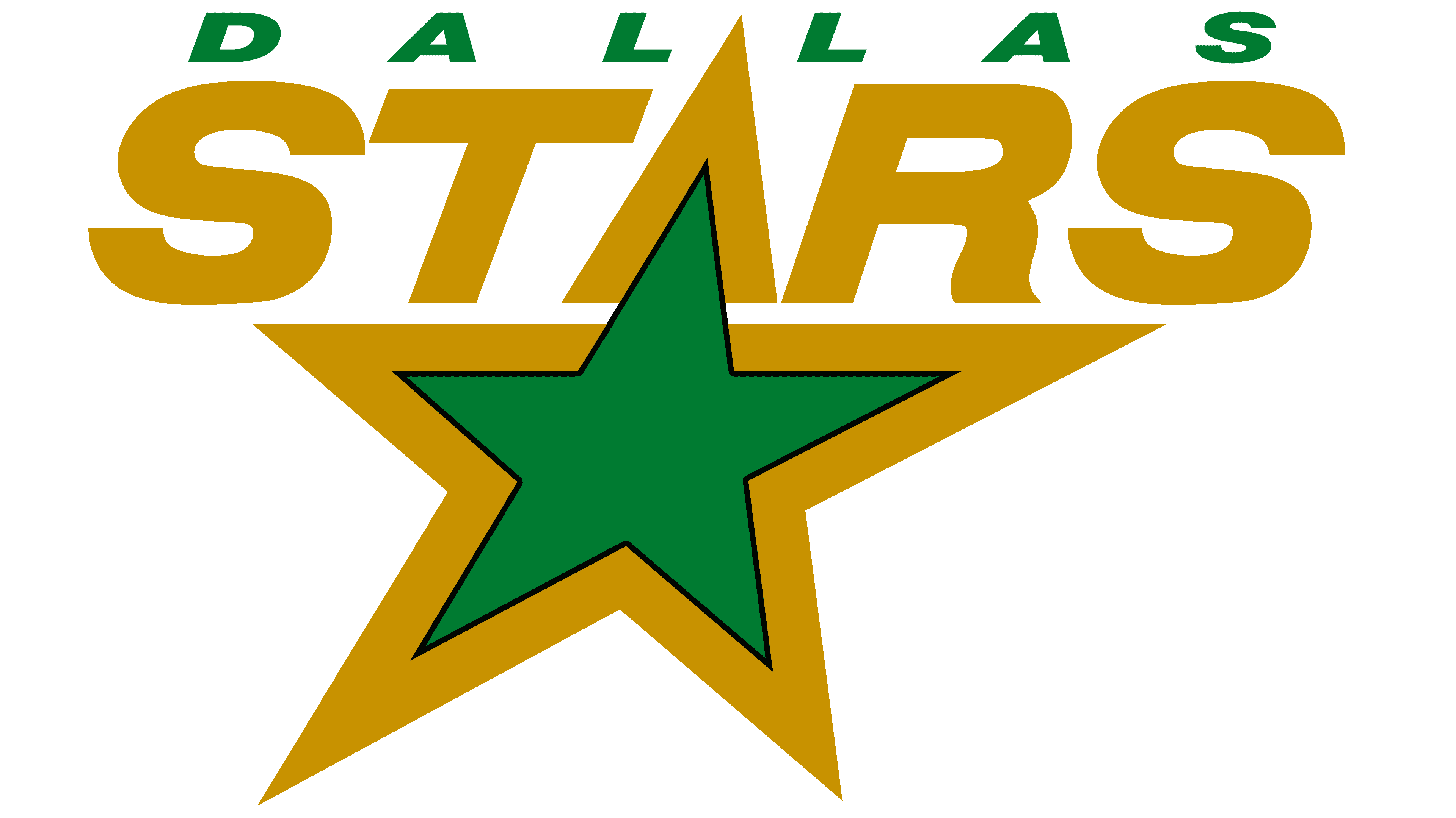 Team) Dallas Stars (Sports Loading interface