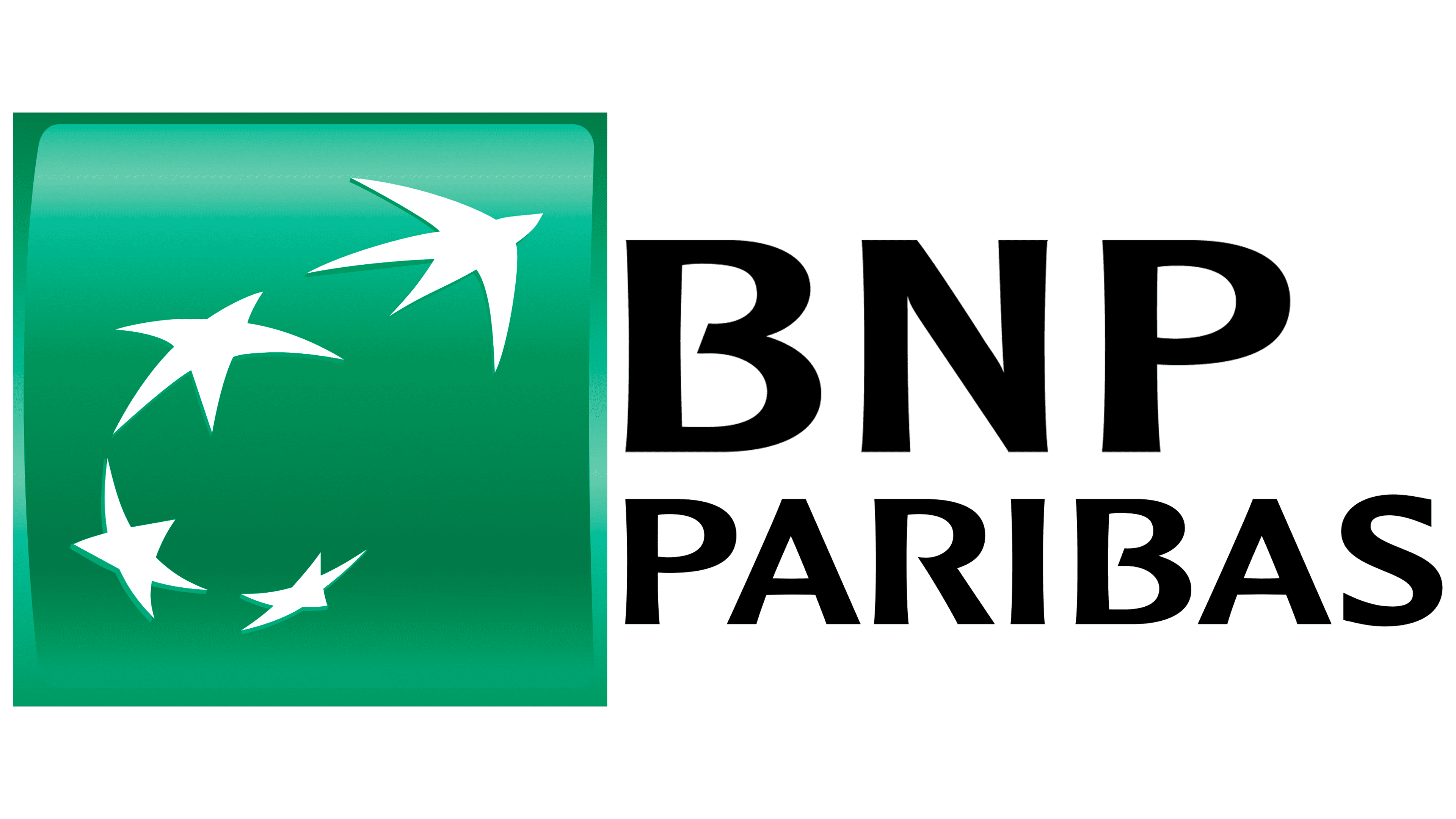 BNP Paribas France Logo