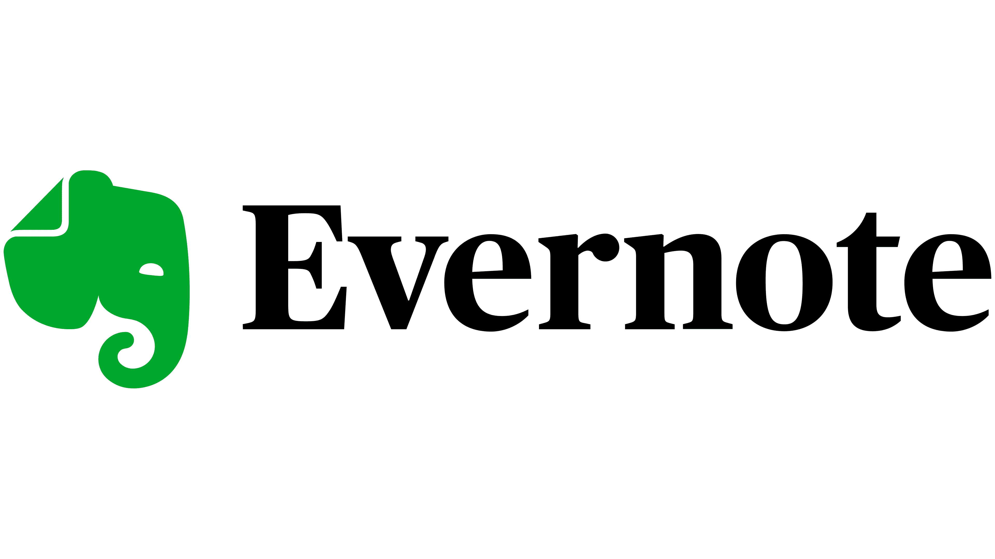 Evernote Logo, symbol, meaning, history, PNG, brand