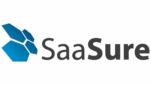 SaaSure Logo 2009
