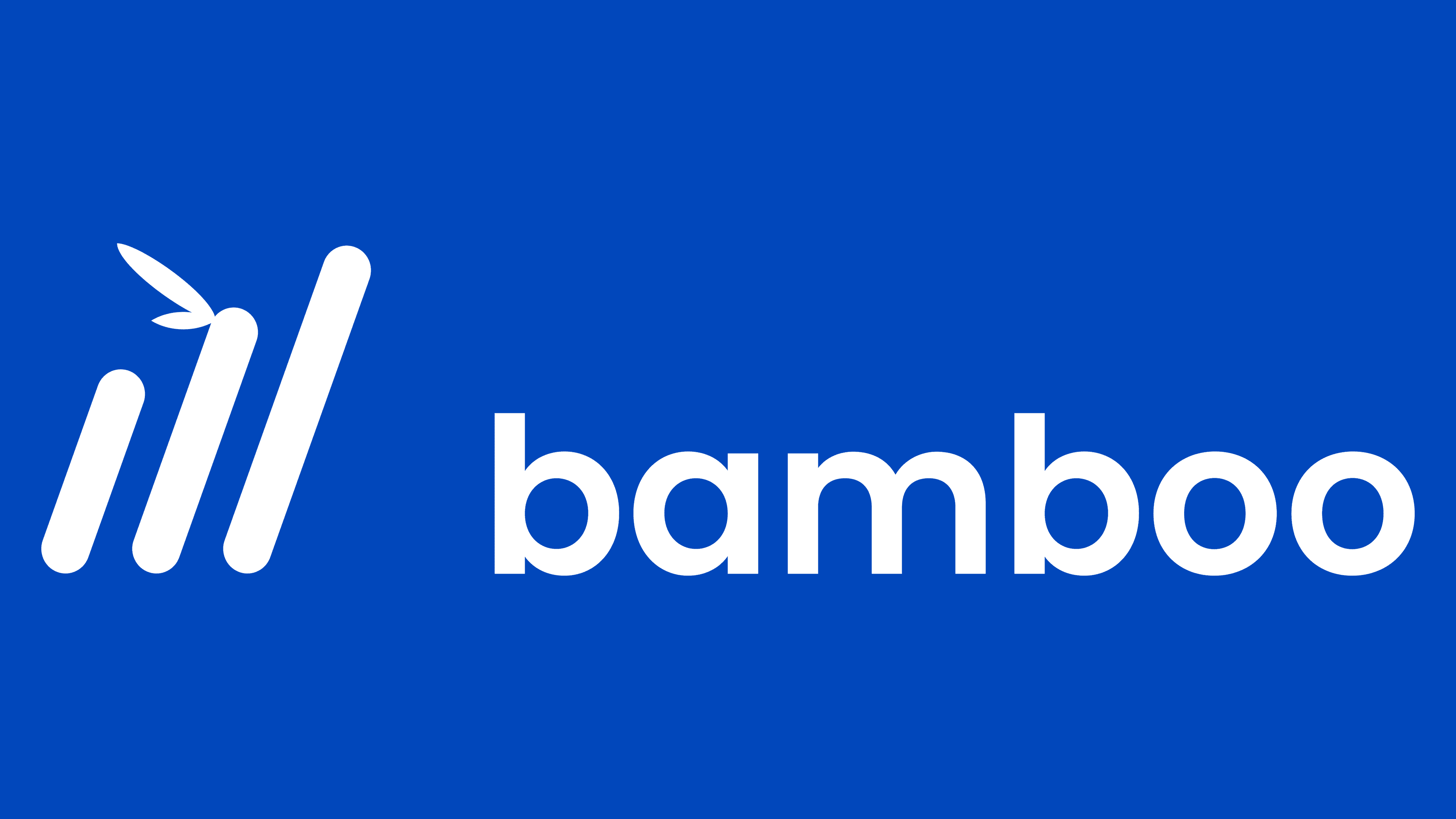 Bamboo app - a new perspective on your future