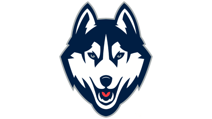 UConn Huskies Logo 2013
