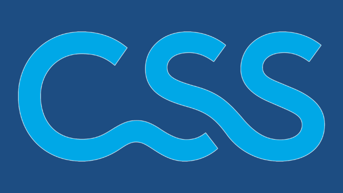 CSS (Insurance) Symbol