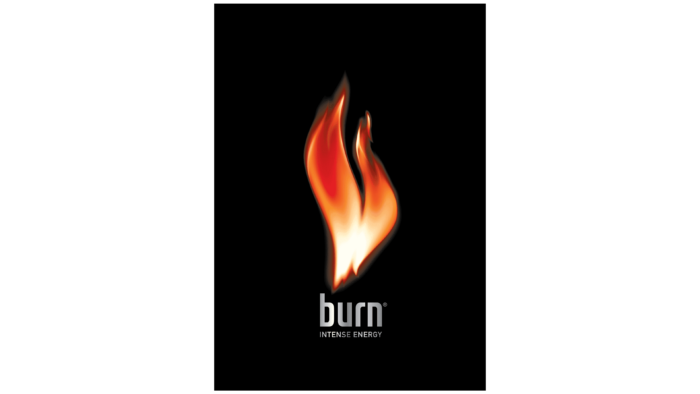 Burn Logo 2004