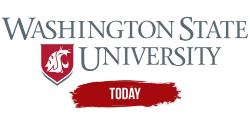 WSU Logo History