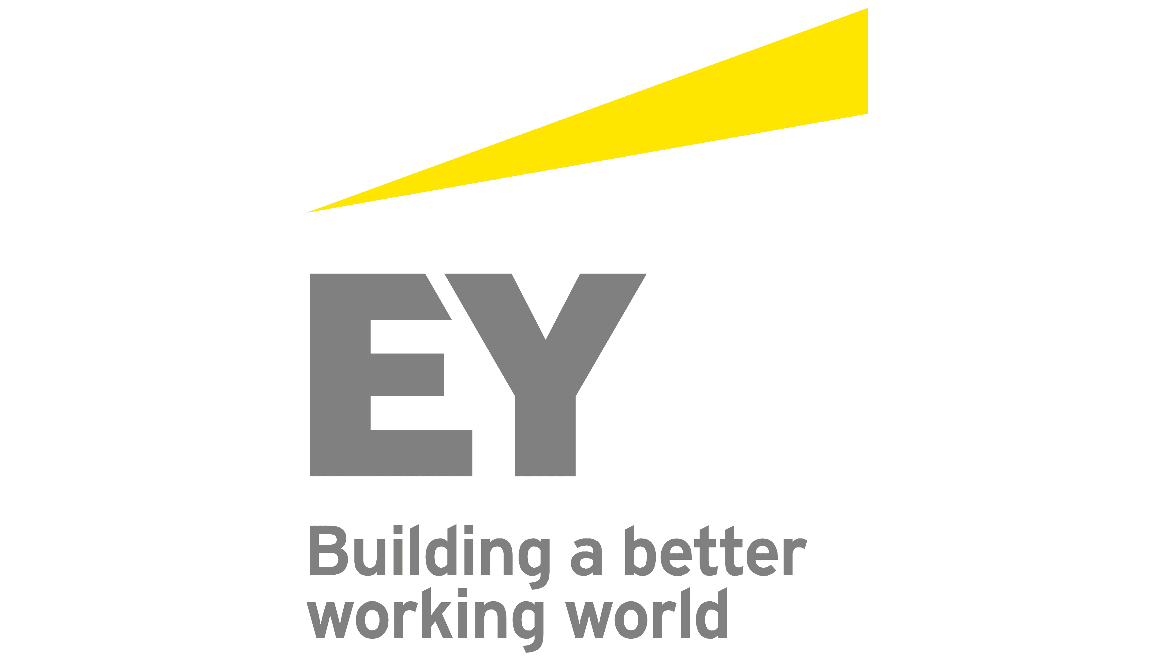 ernst and young travel policy