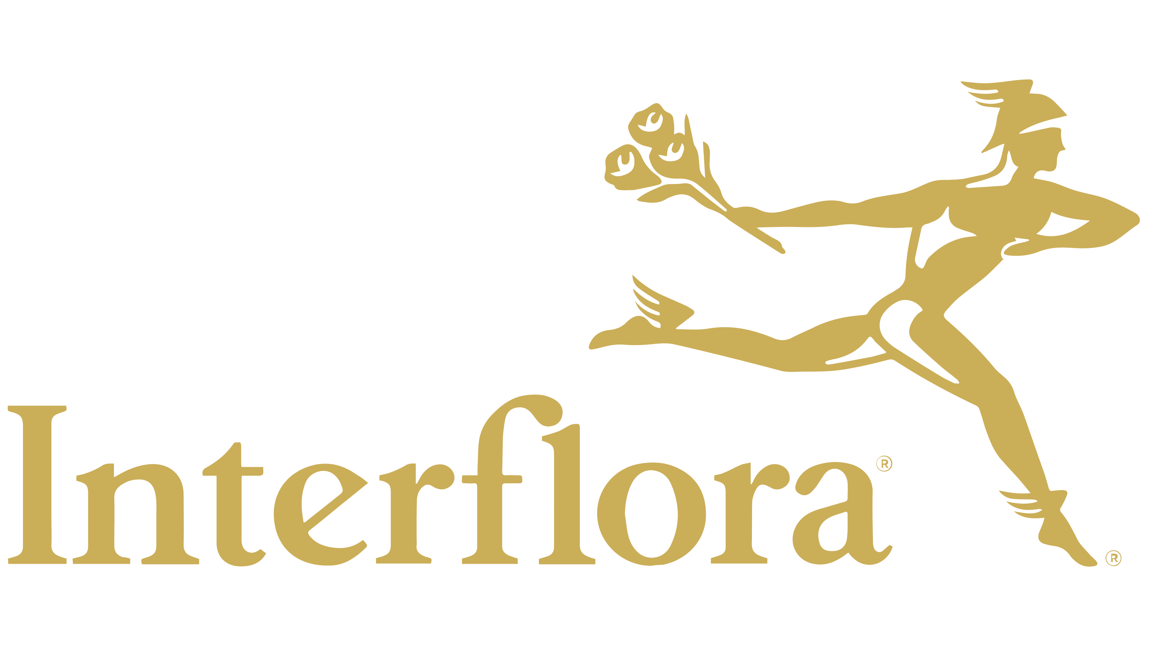 Interflora Logo, symbol, meaning, history, PNG, brand