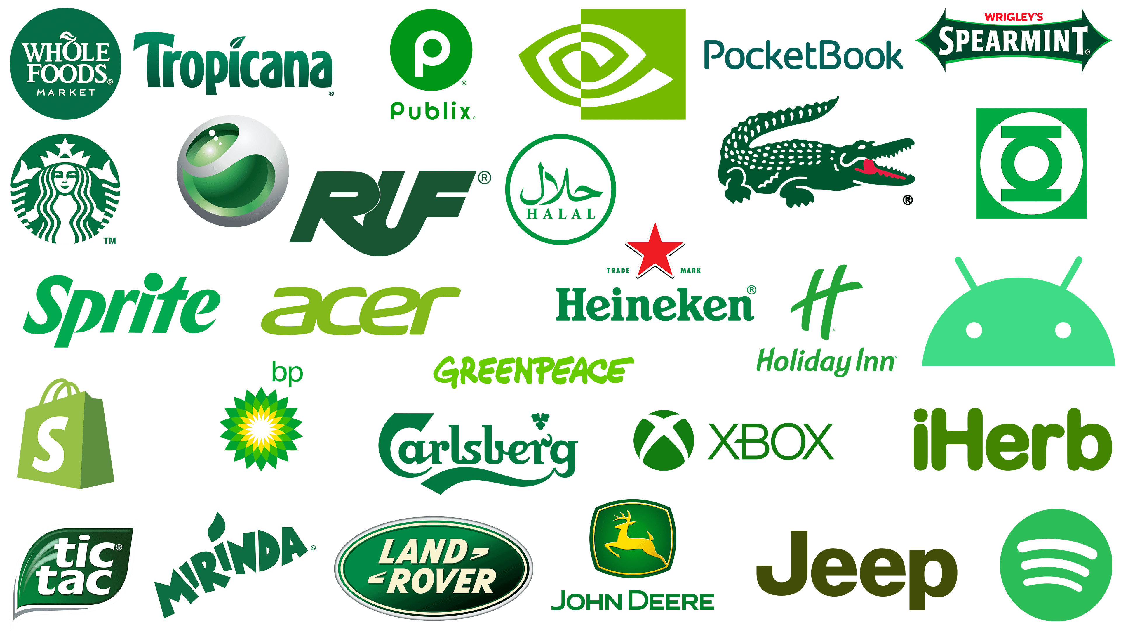 green circle logo with name