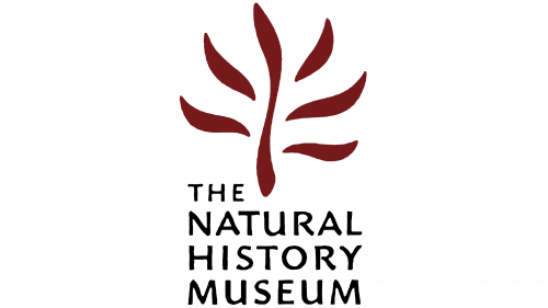Natural History Museum Logo before 2004