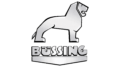 Büssing Logo