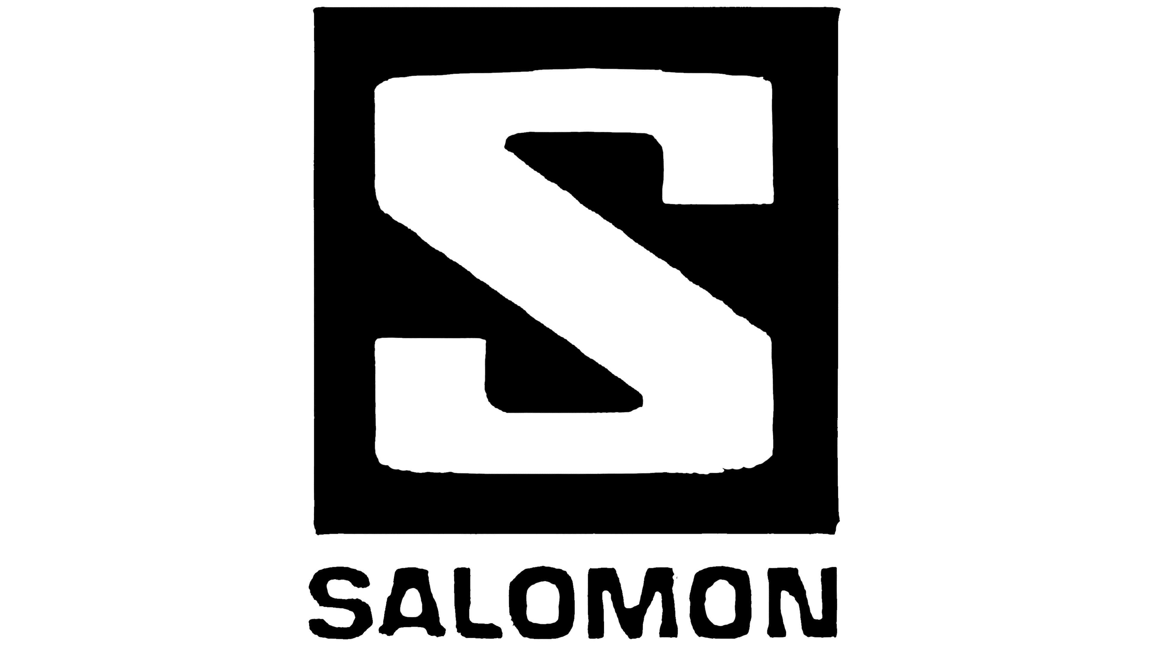 Discover more than 72 salomon logo - ceg.edu.vn