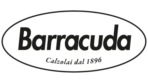 Barracuda Logo before 2022