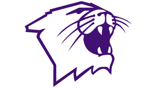 Northwestern Wildcats Symbol