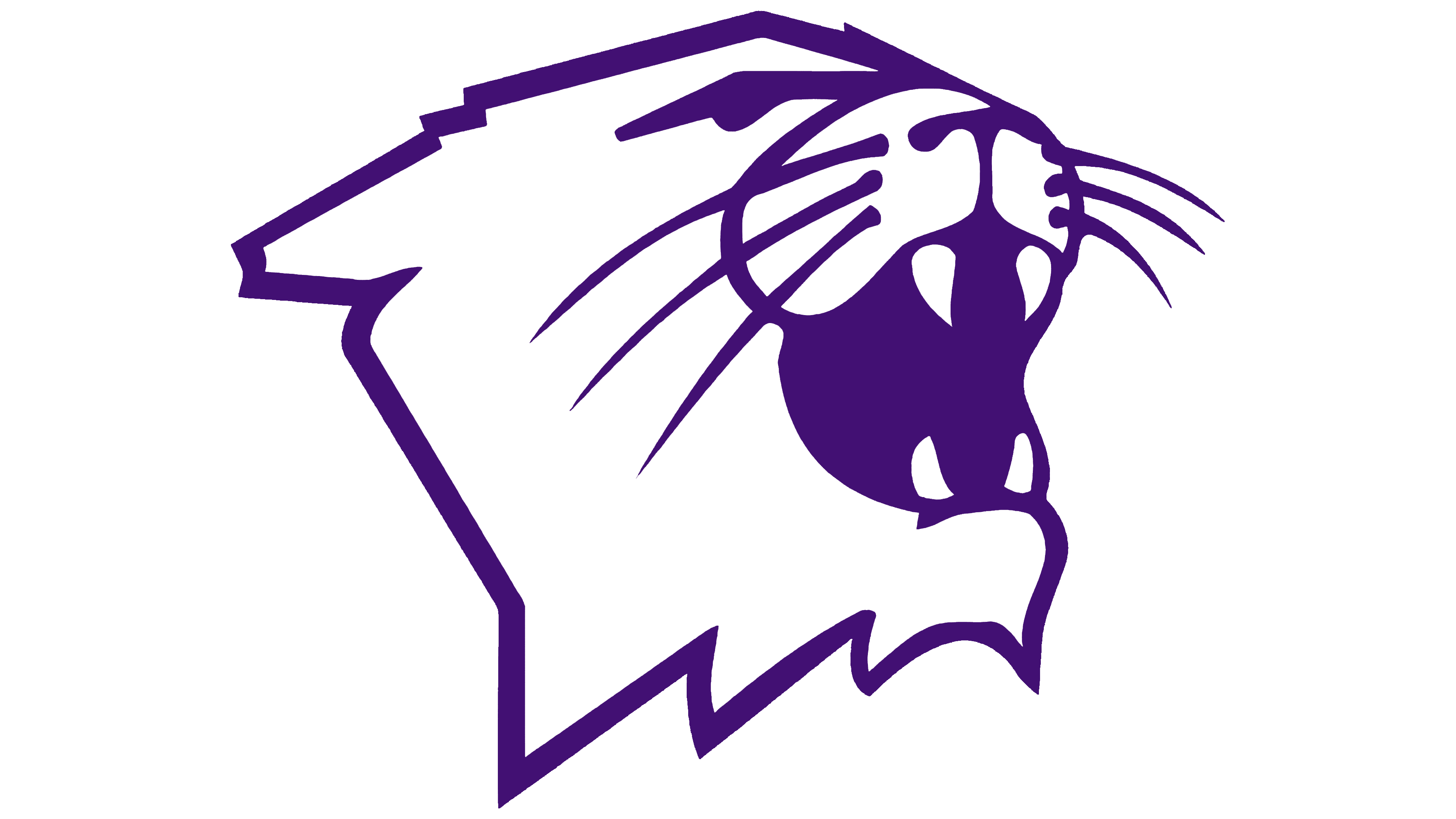 Northwestern Football Logo