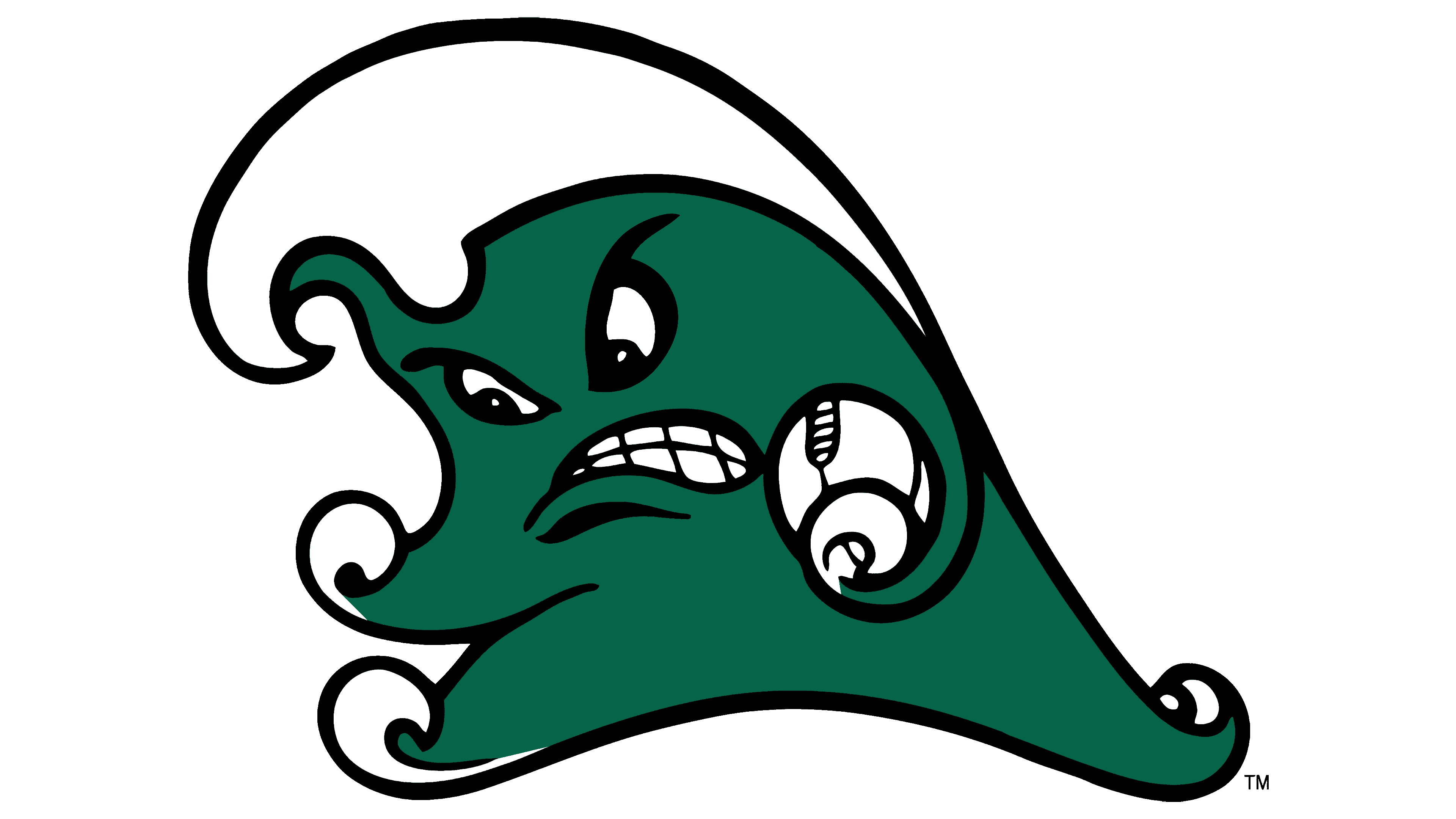 thumbnail image 2 of Riddell Tulane Green Wave NCAA Mini Speed Football Helmet - Angry Wave Design 2 of 5