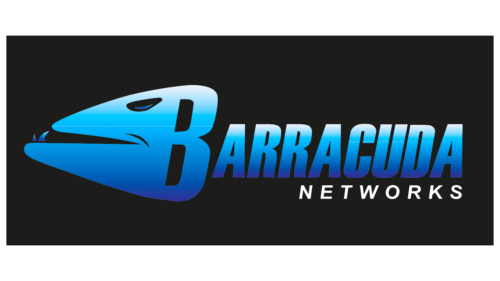 Barracuda Networks Logo 2003