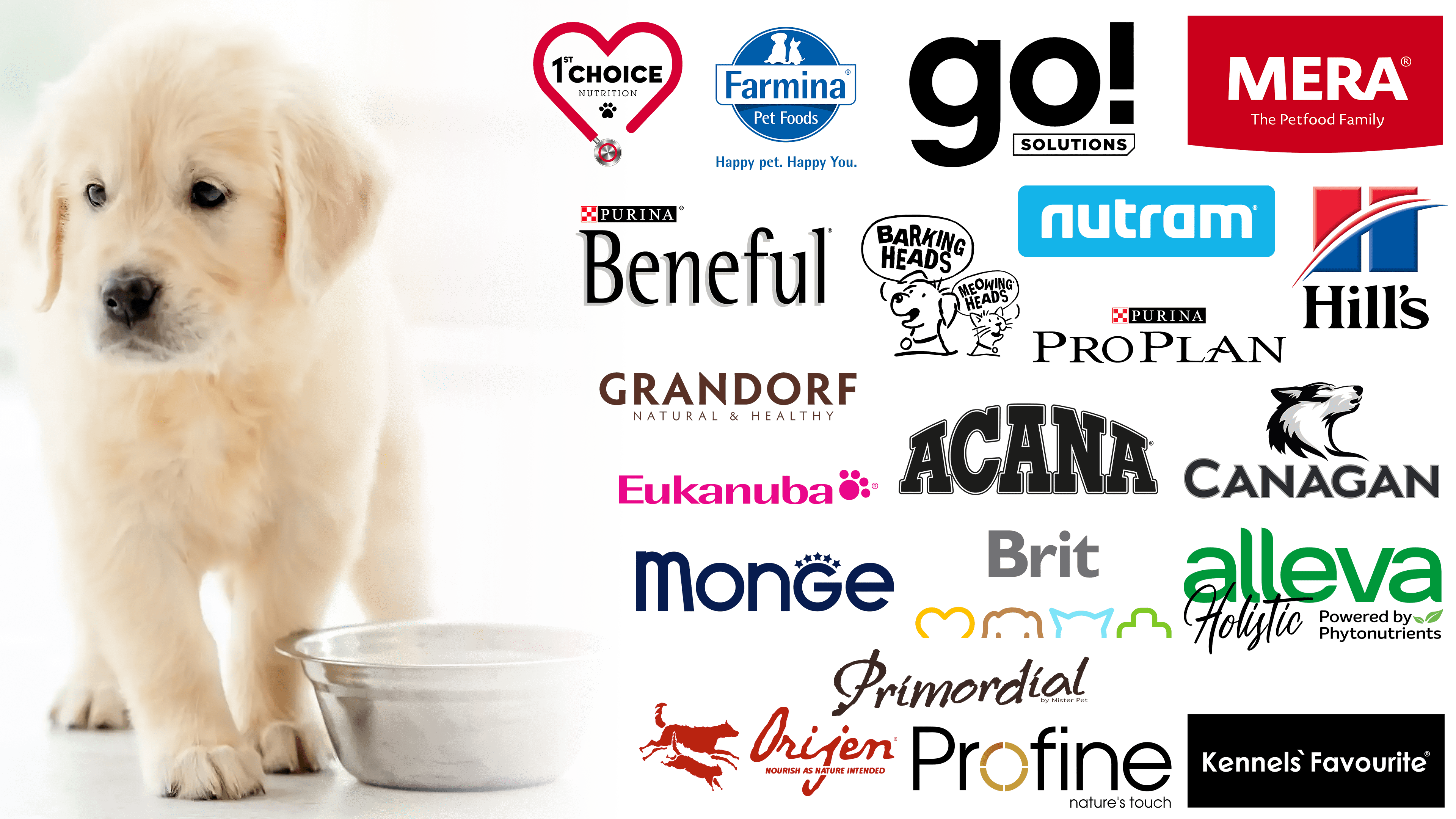 Dog Food Brands Logos