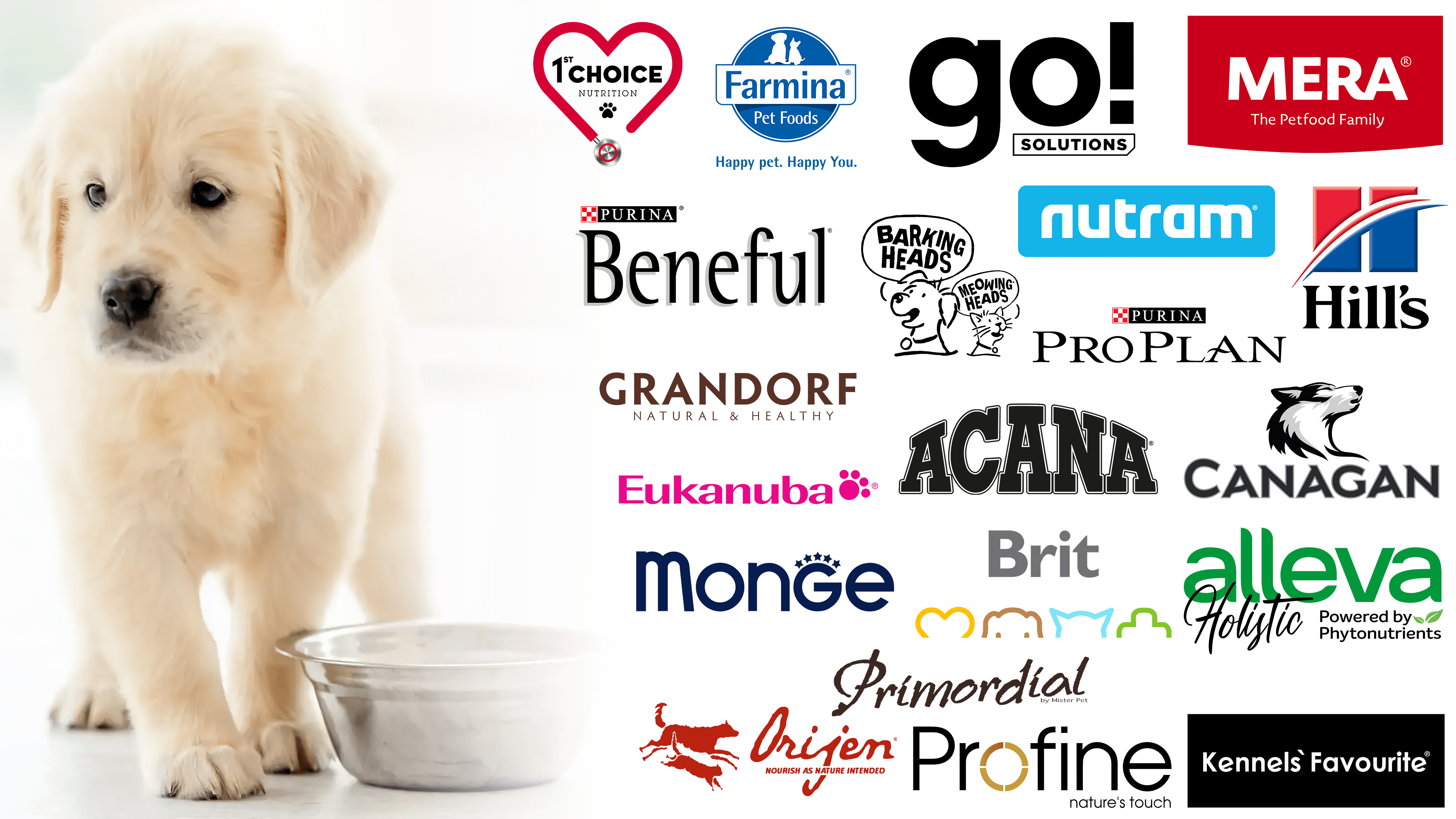 Famous dog 2024 food brands