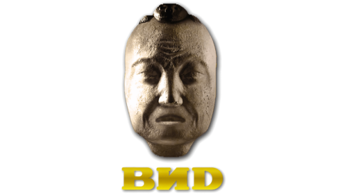 VID Logo 2013