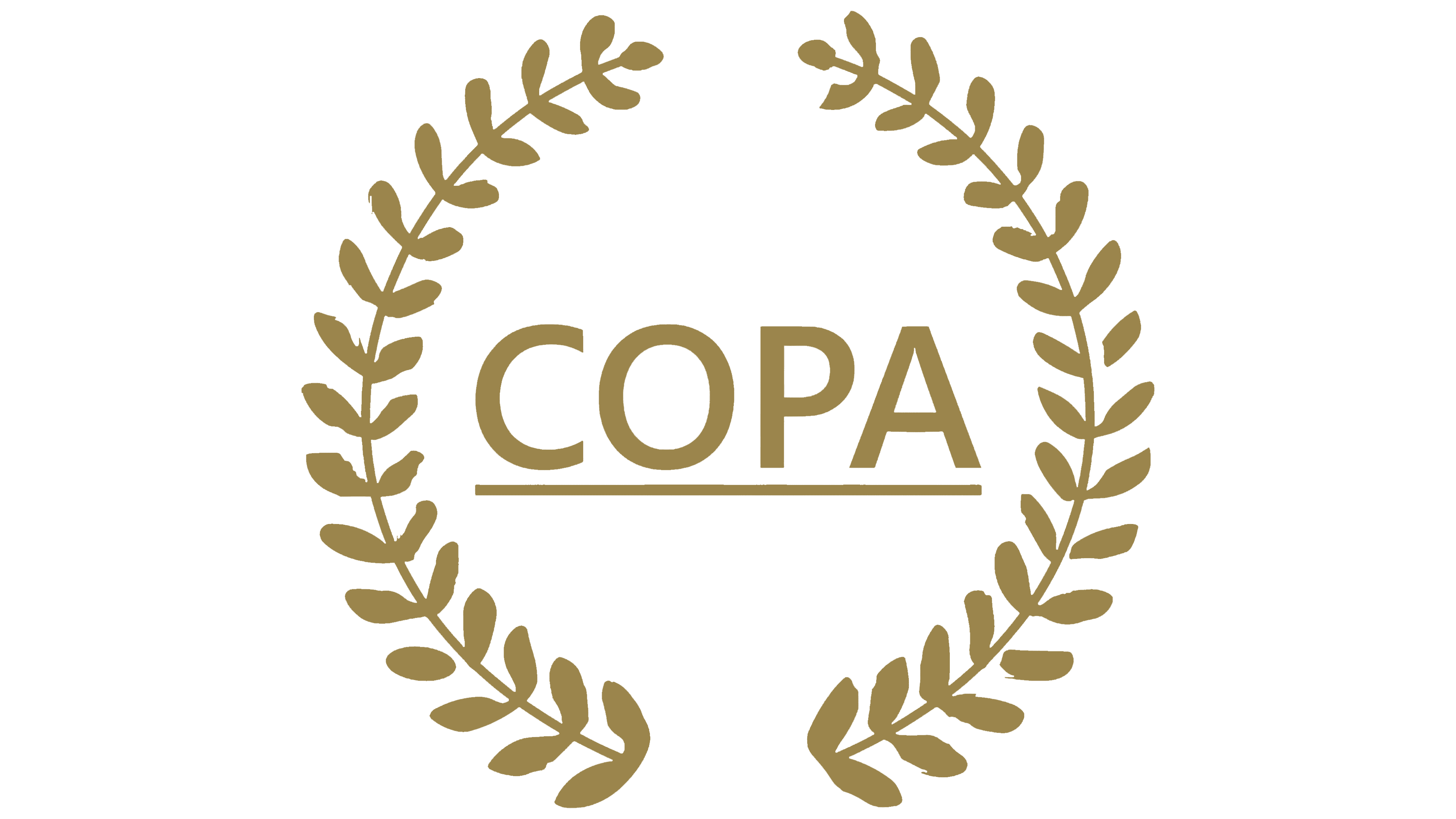 Copa Airlines Logo, symbol, meaning, history, PNG, brand