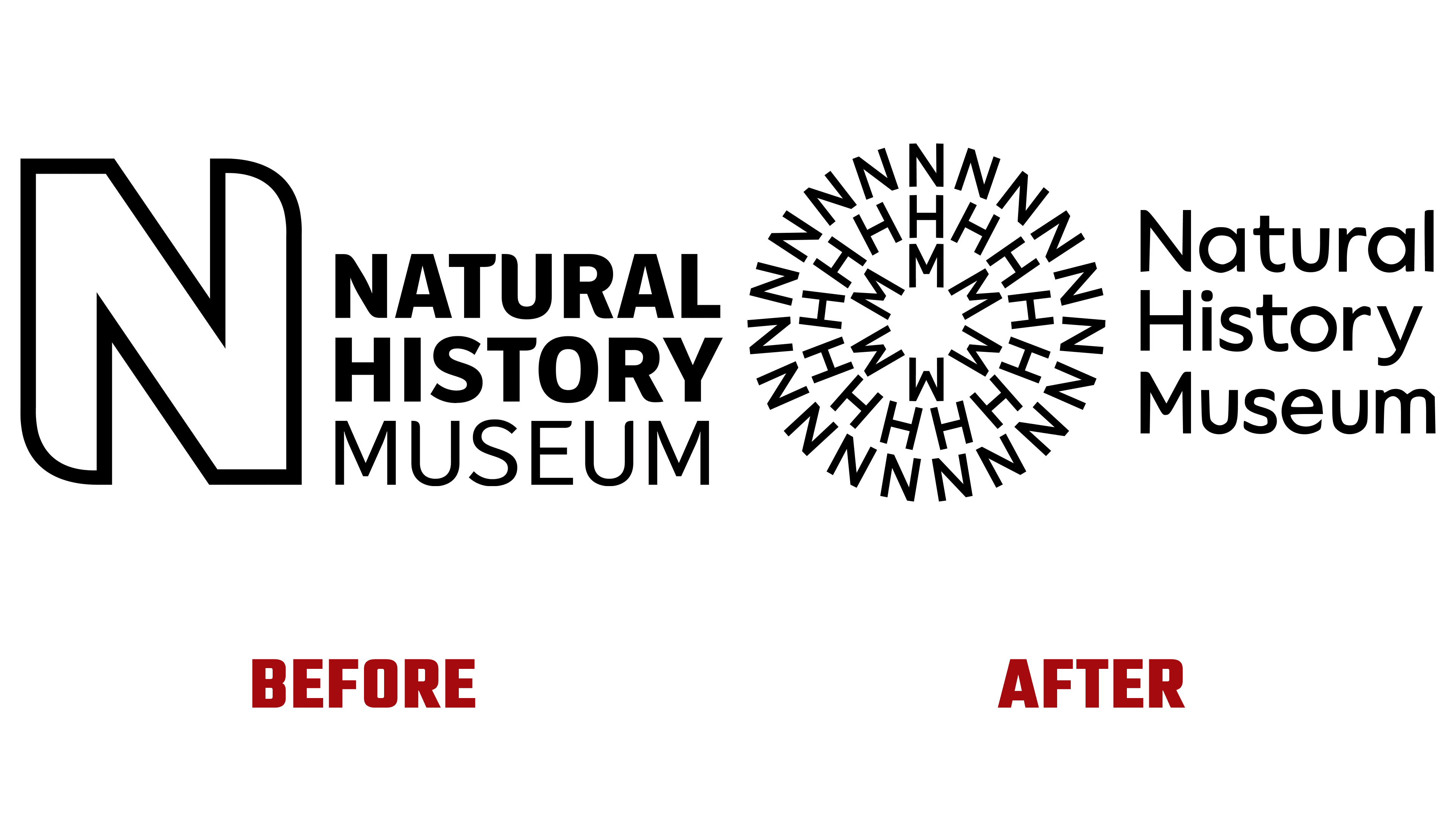 London's Natural History Museum Unveils New Brand Identity