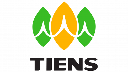 Tiens Logo