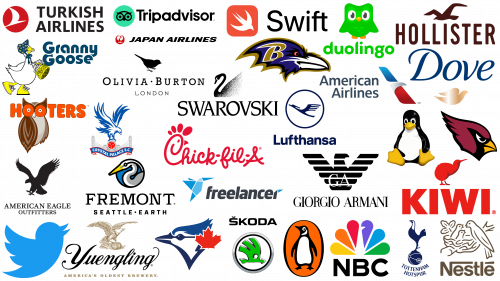 Companies with bird logos. Famous bird logos around the world