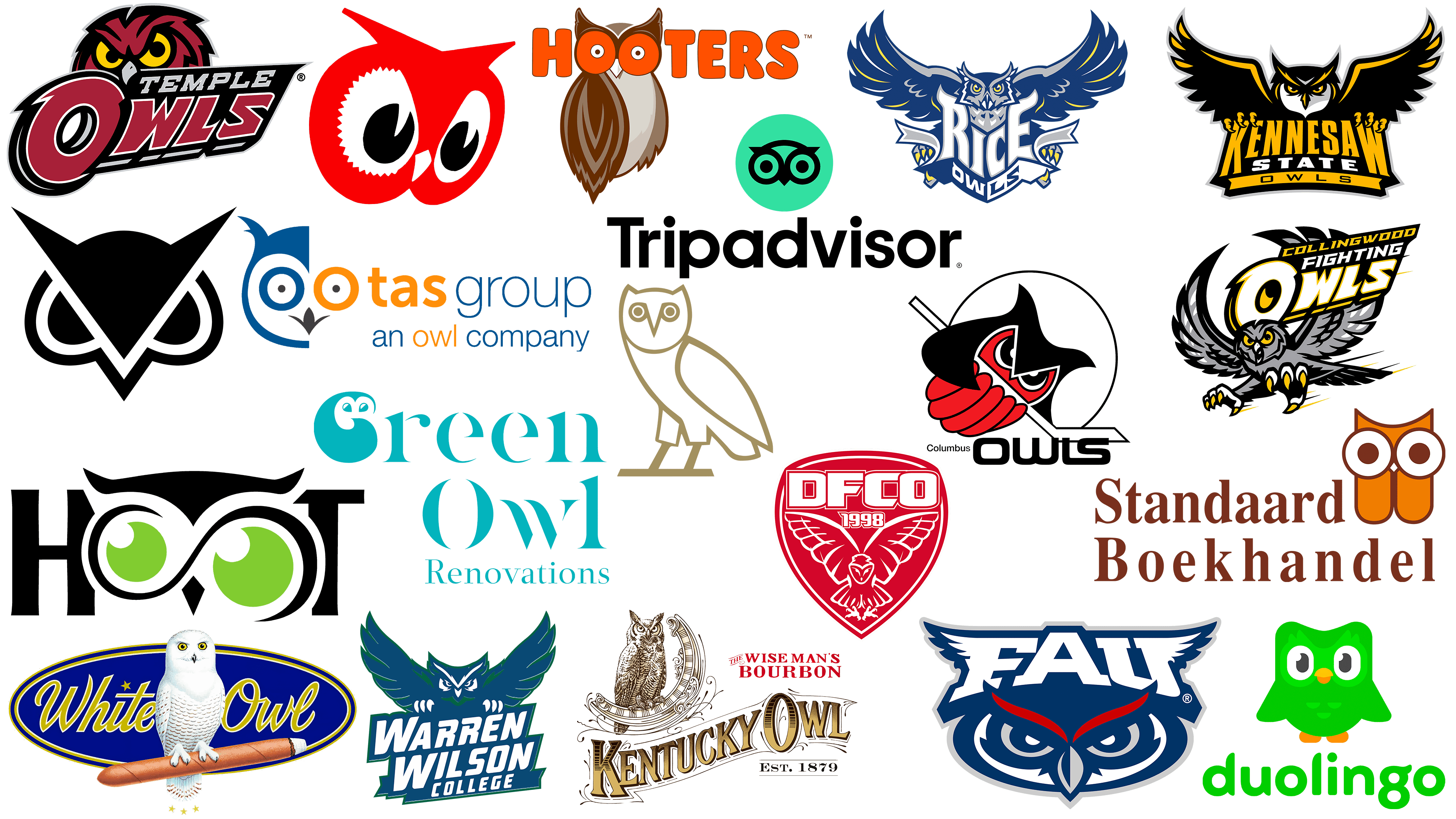 Famous Owl Logos Your Guide To Companies With Owl Logos