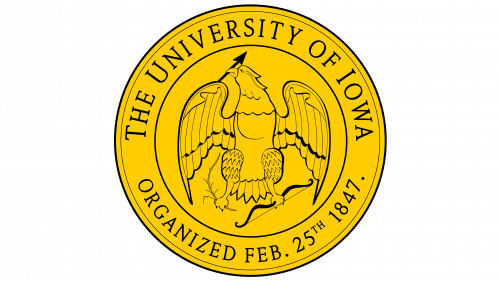 University of Iowa Logo, symbol, meaning, history, PNG, brand