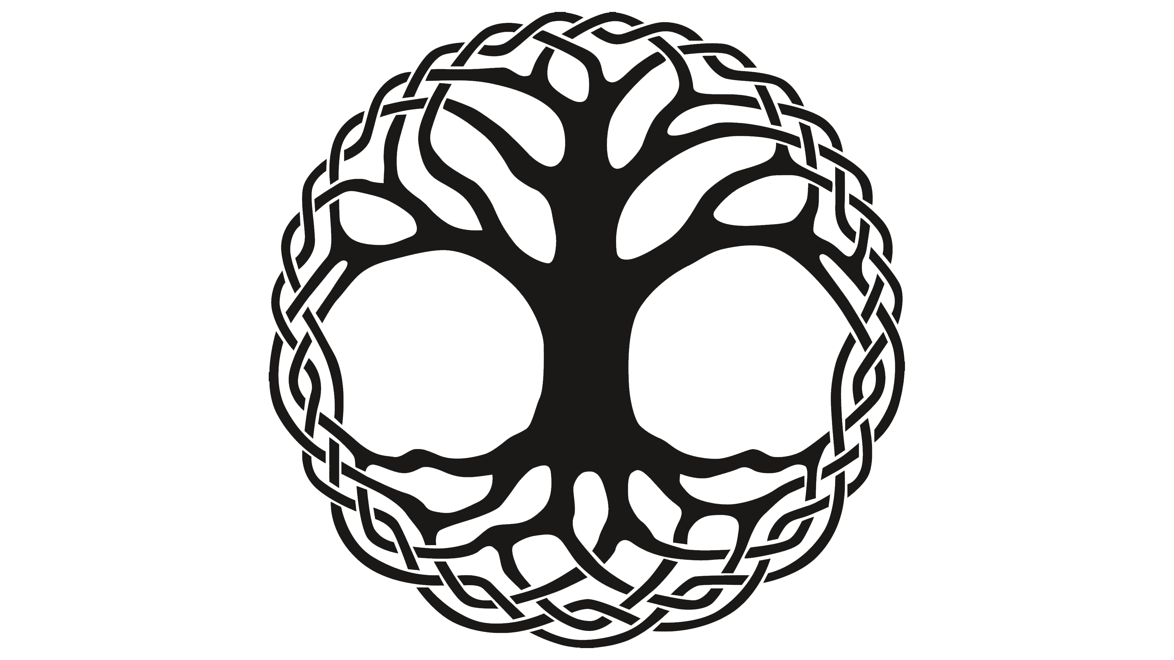 Celtic Tree Of Life Meaning